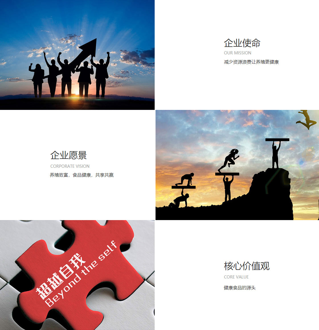 K8凯发官网网址(图1)
